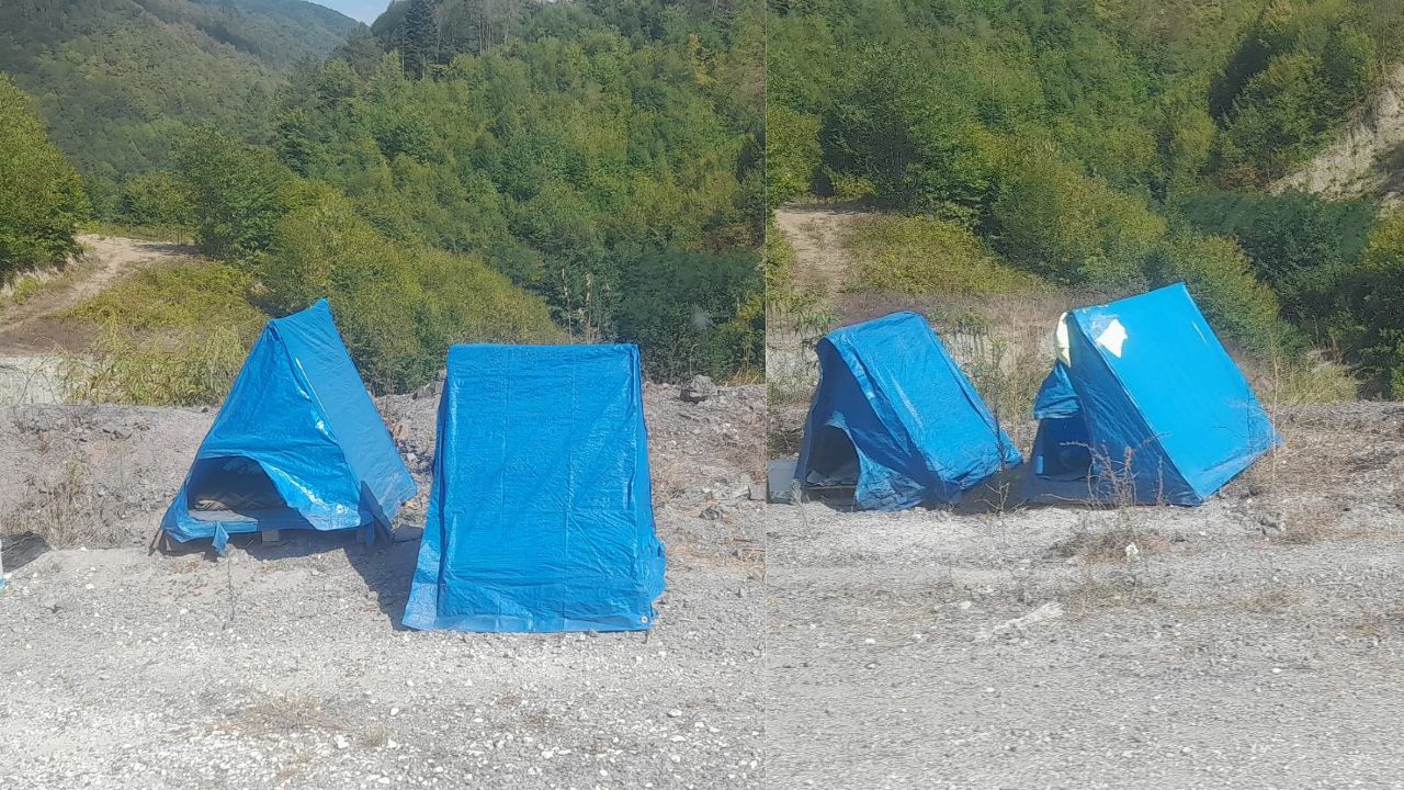 Alaplı-Yığılca Yolunda Sokak Hayvanlarına Sıcak Yuva