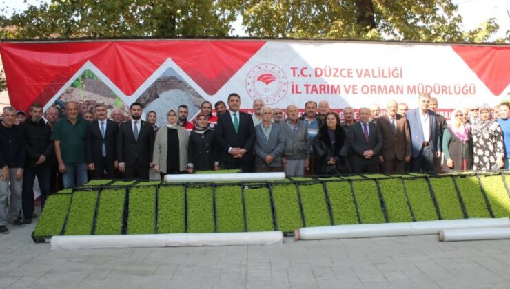 Düzce’de Üreticiye Marul Fidesi ve Sera Naylonu Desteği