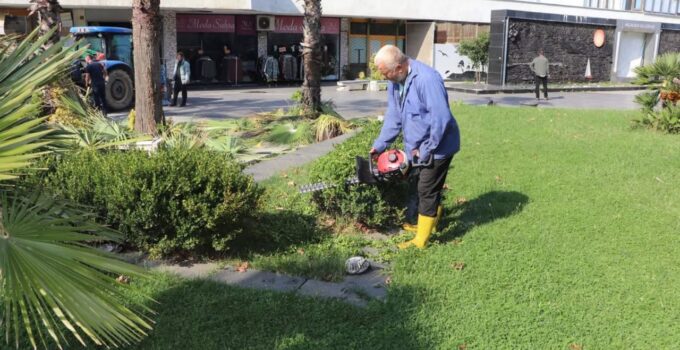 Akçakoca’da Ağaç Budama ve Bakım Çalışmaları Sürüyor