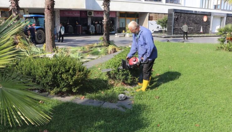 Akçakoca’da Ağaç Budama ve Bakım Çalışmaları Sürüyor