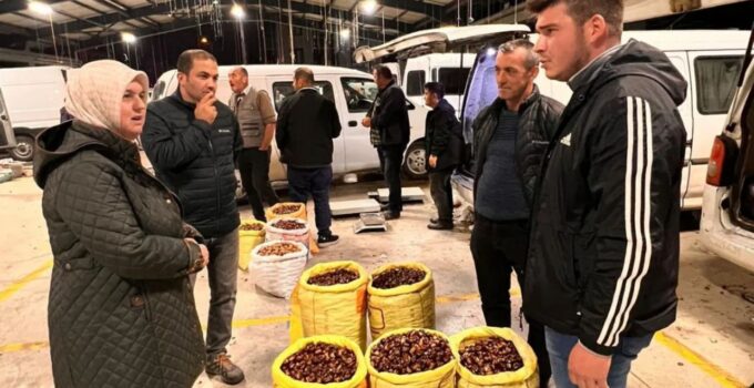 İl Müdürü Esra Uzun, Düzce Kestanesi Üreticileriyle Buluştu