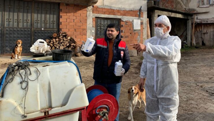 Düzce’de Kahverengi Kokarca ile Kışlak Mücadelesi Başladı