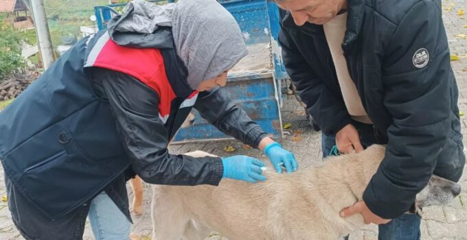 Yığılca’da Veteriner Hekimler Sahada