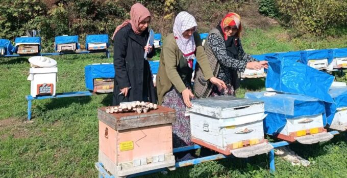 Çukurören Köyünde 2025 Arılı Kovan Sayımı Yapıldı