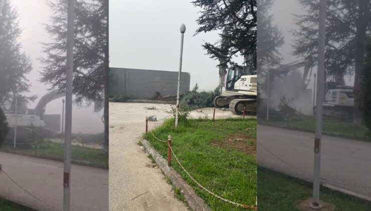 Düzce’de Yıkım Skandalı Çam Ağaçları Kepçeye Kurban Gitti