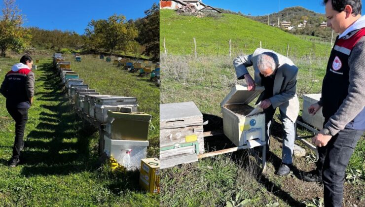 Yığılca’da 2025 Yılı Arılı Kovan Sayımı Tamamlandı