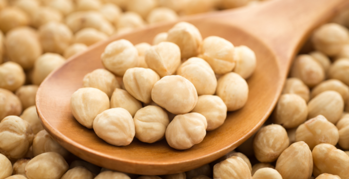 Düzce’de Fındık Fiyatları Yeniden Yükselişe Geçti: 8 Aralık 2025 Güncel Tablo