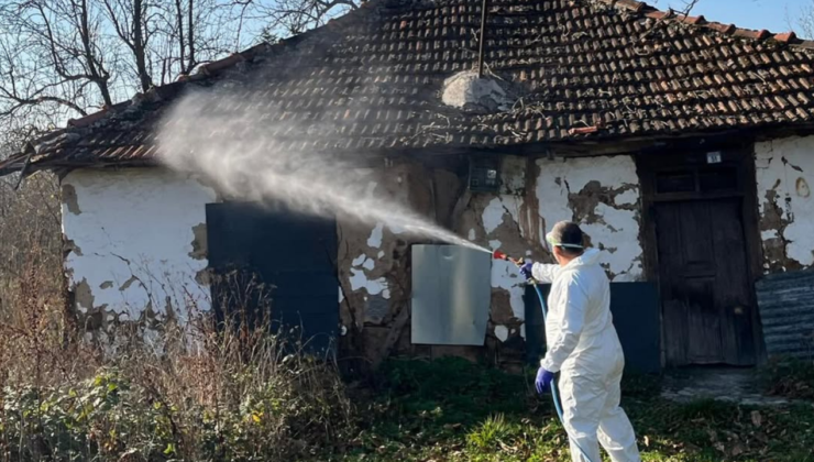 Kaynaşlı’da Kahverengi Kokarca ile Etkin Mücadele: Muratbey ve Çamlıca Köylerinde Çalışmalar Sürüyor